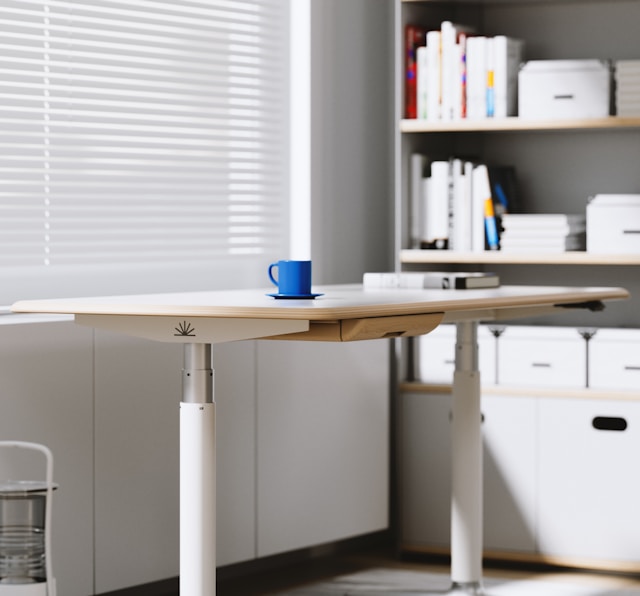 Melvandellia galeria